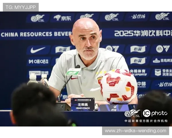 艾迪在中超联赛中的表现与影响